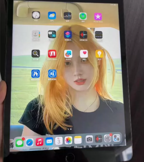 出个人用的ipad2019 128g内存，...