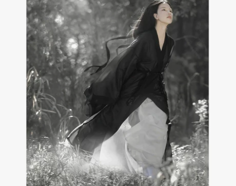 ?【全新吊牌未摘】原创汉服女魏晋制南北朝黑...