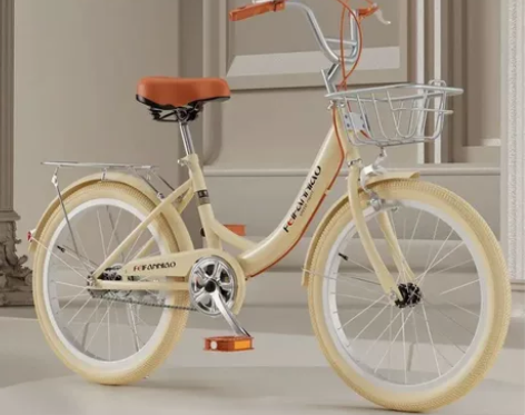 外出工作用不着了飞鸽永久凤凰同款男女学生通...