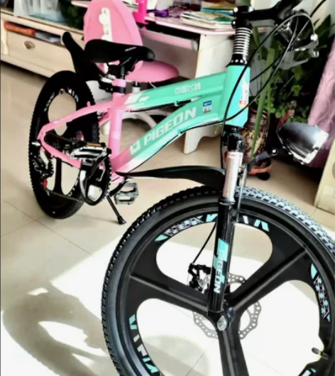 全新急售飞鸽新款儿童自行车20寸中小学生减...