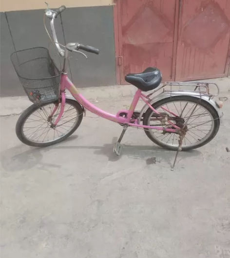 自行车骑不到了，转给需要的朋友，成色如图，...