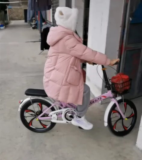 转卖,闲置折叠自行车,如图。莱斯凯特品牌,...