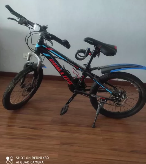 95成新菲利普20寸高配变速自行车，前后碟...