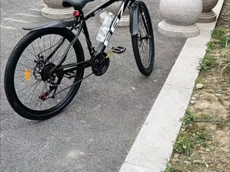 【包邮到家】【全新当二手卖】处理全新山地车...