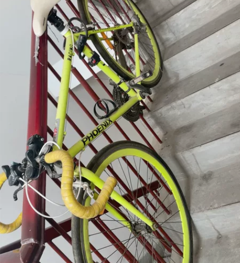 凤凰公路赛，需要的自提！ 感兴趣的话点“我...