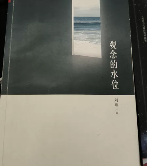 旅美学者刘瑜 第三只眼睛看世界 ...