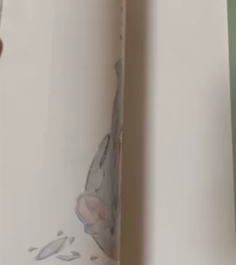 CLAMP 圣传 非天梦魔，16开大图集海...