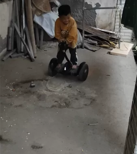 九号平衡车，孩子上学了，闲置了，便宜处理，...