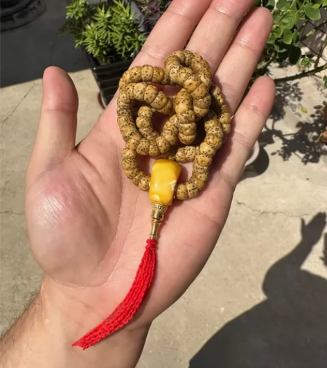 星月大肠 8mm，配老蜡三通，18k金佛塔...