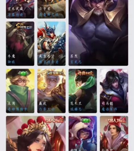 贵族8 171皮肤 2个荣耀典藏猴子 鲁班...