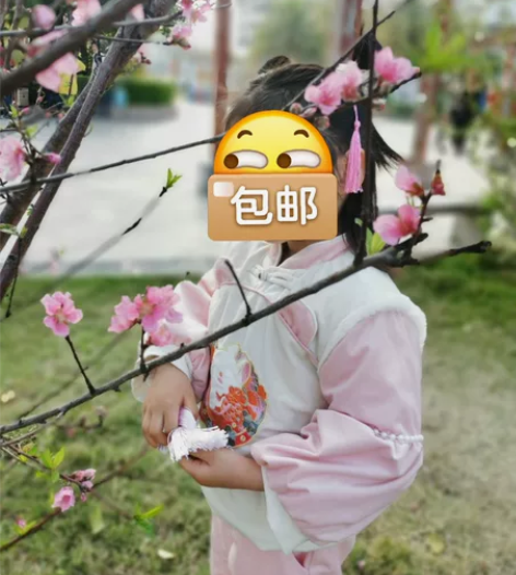 女童冬装新年套装,拜年服,古风汉服 加绒加...