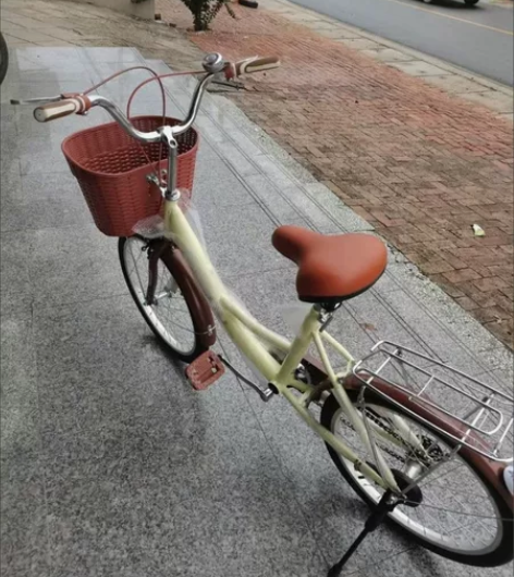 外出工作用不着了凤凰永久飞鸽同款男女学生通...