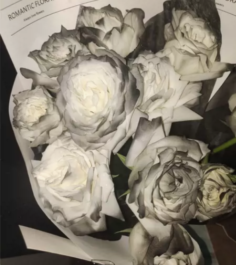 epic  骑士精神2epic二批次 感兴...