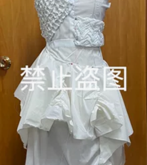 服装工艺设计作业，白胚布作业，高分作业。包...