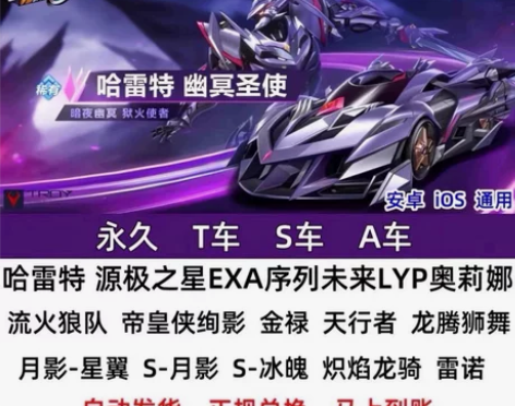 QQ飞车手游永久T车A车月影哈雷特序列未来...