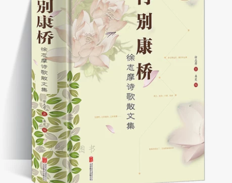 徐志摩诗歌散文集 再别康桥 精装大厚本 国...