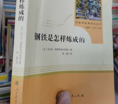 清仓包邮正版二手书 八年级下钢铁是怎样炼成...