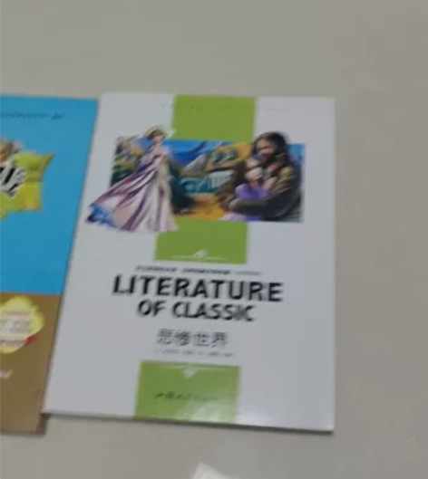 名人传 悲惨世界，九成新，两本15不包邮本...