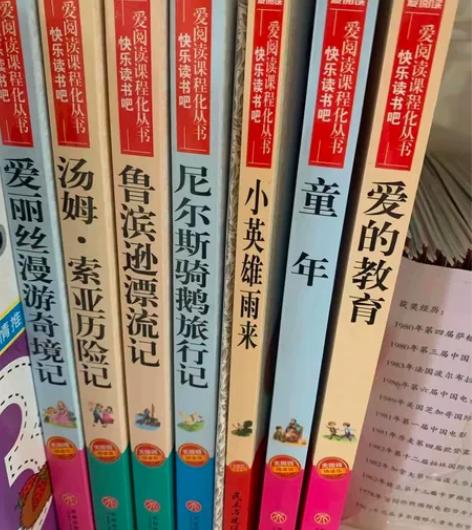 【全新】童年小英雄雨来爱的教育快乐读书吧六...