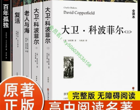 高中课外阅读书籍必读书目 大卫科波菲尔 复...