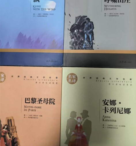 名著 安娜卡列尼娜 巴黎圣母院 飘 呼啸山...