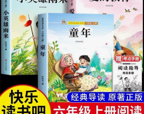 【全新包邮】童年 爱的教育 小英雄雨来，六...
