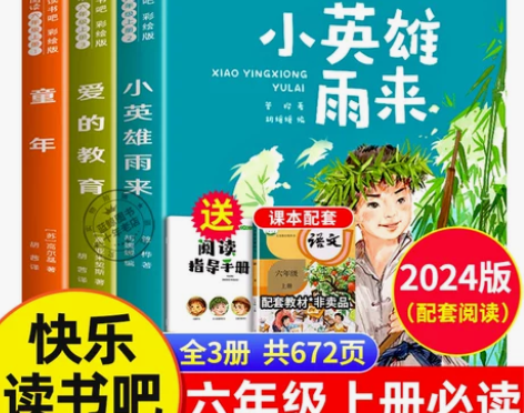 六年级上册快乐读书吧人教版爱的教育小英雄雨...