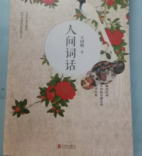 【当当网正版书籍】人间词话（王国维先生的代...