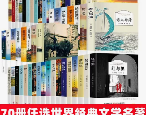 全新正版傲慢与偏见柳林风声小王子巴黎圣母老...