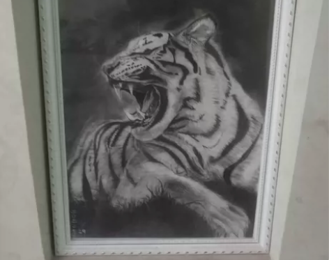 素描动物作品现货出售 美院学生个人手绘原画...