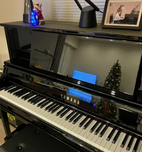 刚买没多久的日本原装进口的雅马哈，小孩子上...