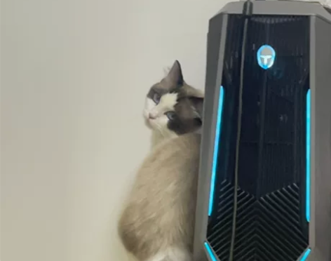 雷神黑武士台式机组装机 英特尔酷睿i7独显...