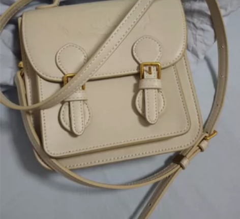 不莱玫小斜挎包，就背过一两次，因为被猫抓了...