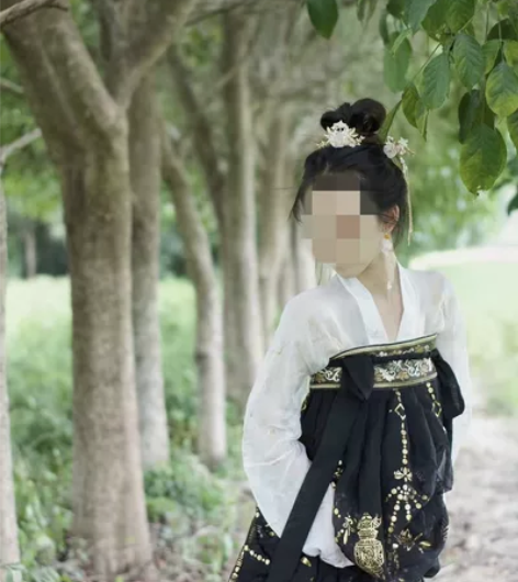 【闲置】出售汉服 古装正品艺缕原创黑云鹤汉...