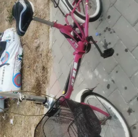 自行车飞利浦折叠自行车带减震看好下手啊，好...