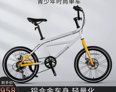 新款学生自行车青少年轻便20寸时尚单车
