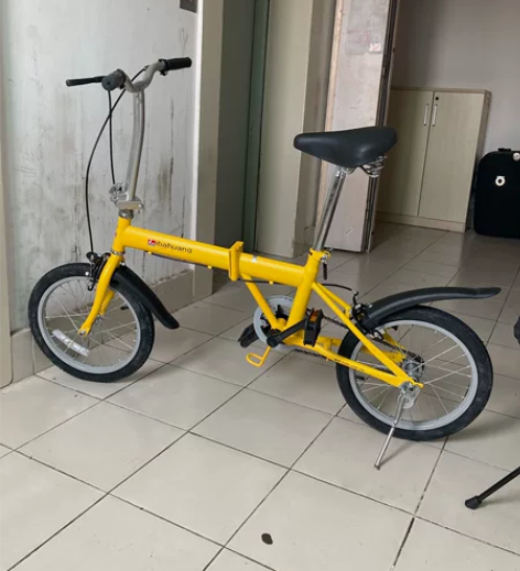 全新16寸折叠自行车，打开包装纸箱安装好没...