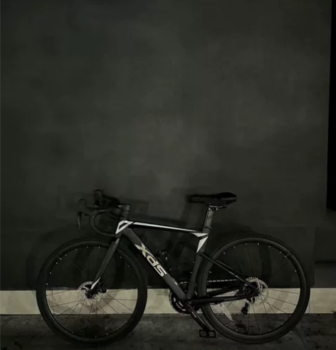 2024喜德盛AD350，48的，买了俩月...