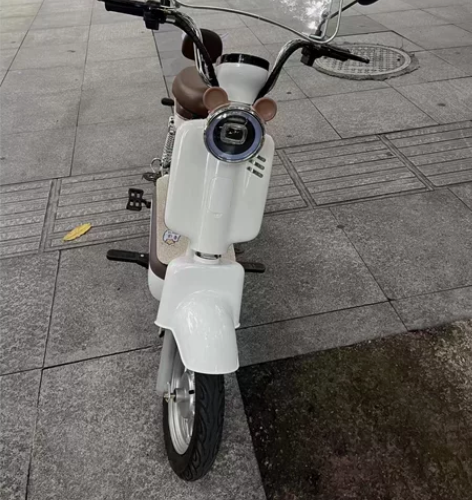 全新电动车，低价处理，车架飞鸽牌子，四块电...