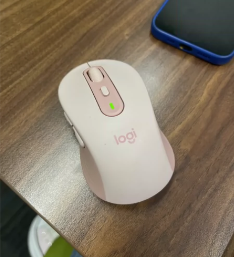 媳妇新买没多久的鼠标m750中，有购买记录...