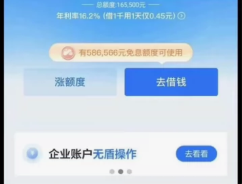 2024网商贷花呗通用额度开通纯技术 黑白...