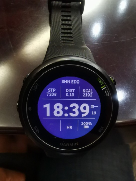 Garmin佳明Forerunner 45...