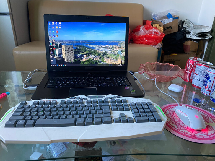 机械革命，17.3英寸游戏本大屏幕游戏看剧...