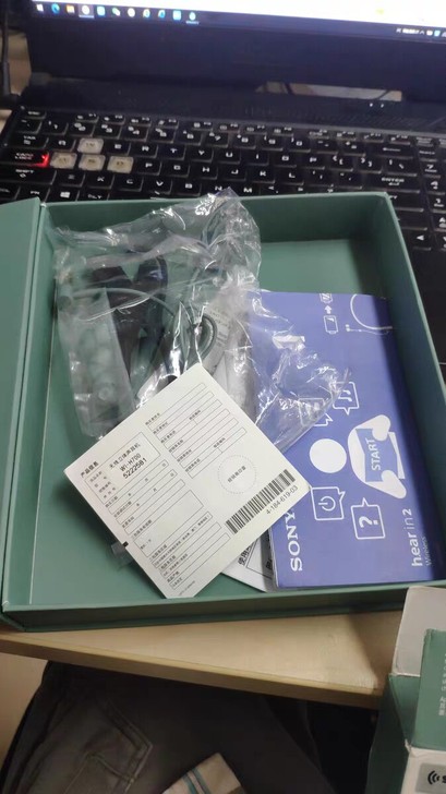 Sony/索尼 WI-H700 入耳式无线...