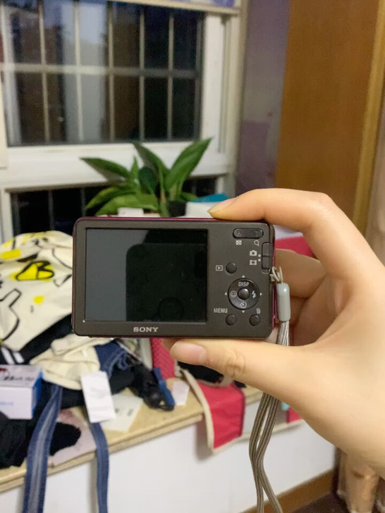 索尼DSC-W310数码相机ccd相机，配...