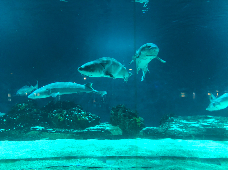 ROG幻16 轻薄高性能16英寸设计师笔记...