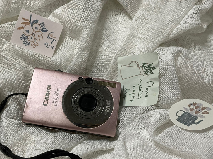 实价：Canon/佳能 IXUS 80IS...