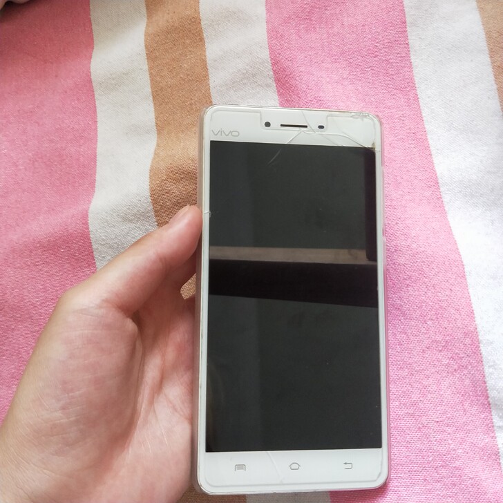 vivo手机
