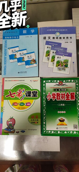 北师大正版，五年级下册数学、语文教师教学用...