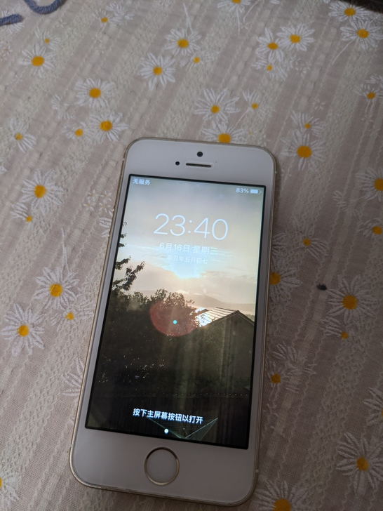 品牌型号 iPhone se